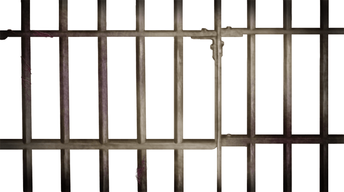 Barras de prisión