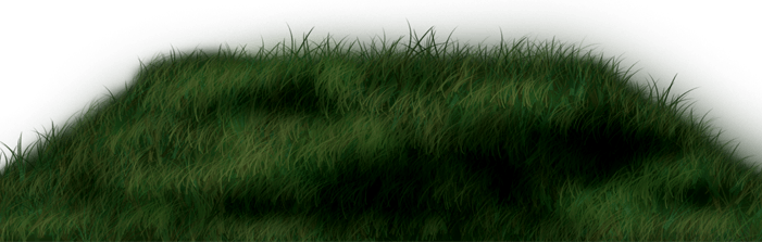 Picnic Grass