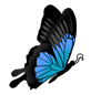 Mariposa (pequeña)