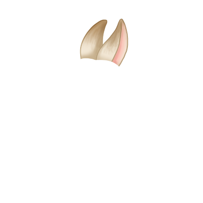Adopta un Conejo Beige Marrón