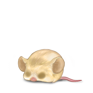 Adopta un Ratón Beige Marrón