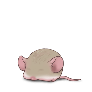 Adopta un Ratón Gris
