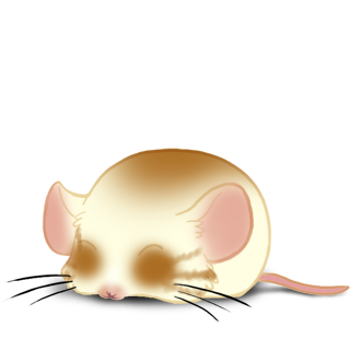 Adopta un Ratón Blondy