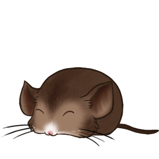 Adopta un Ratón Muerciélago