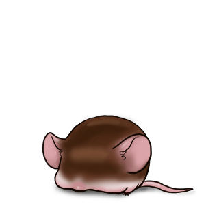 Adopta un Ratón Almendra garapiñada