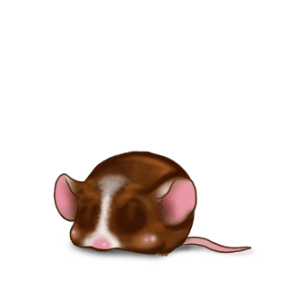 Adopta un Ratón Chocolate con leche