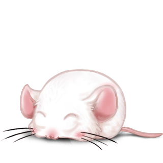 Adopta un Ratón Albino