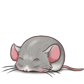 Adopta un Ratón Angora