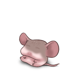 Adopta un Ratón 