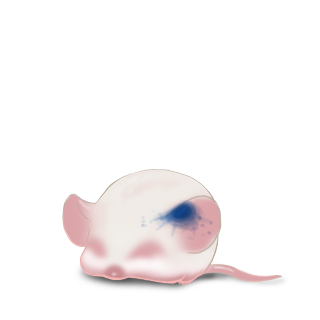Adopta un Ratón Tinta