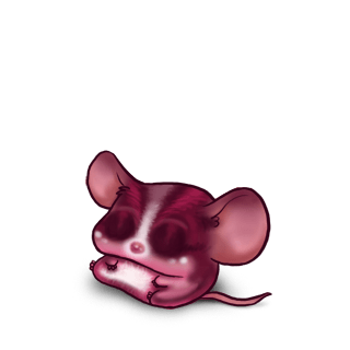 Adopta un Ratón Fucsia