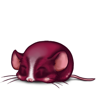 Adopta un Ratón Fucsia