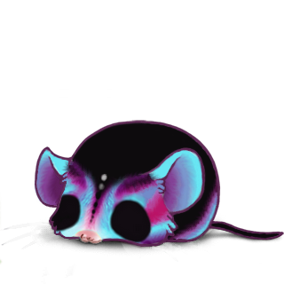 Adopta un Ratón 