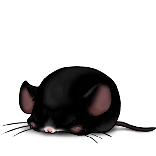 Adopta un Ratón Negro