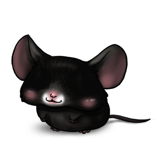 Adopta un Ratón Negro