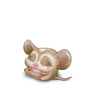 Adopta un Ratón Flunsh