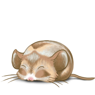 Adopta un Ratón Turrón