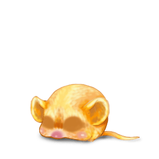 Adopta un Ratón Pollito