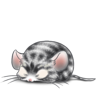 Adopta un Ratón Rascado