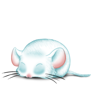 Adopta un Ratón Rubio