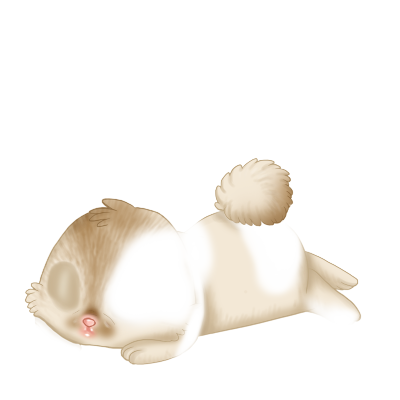 Adopta un Conejo Tinta