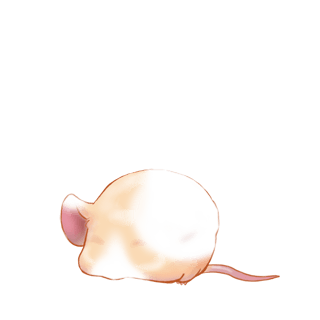 Adopta un Ratón Beige