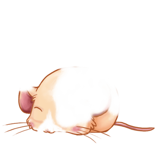 Adopta un Ratón Choco