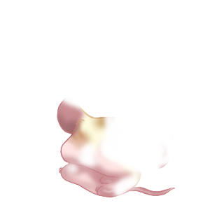 Adopta un Ratón Brillo dorado