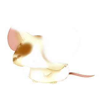 Adopta un Ratón Esmeralda
