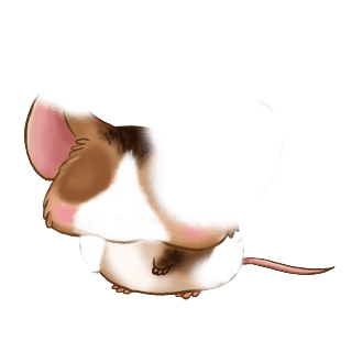 Adopta un Ratón Crema