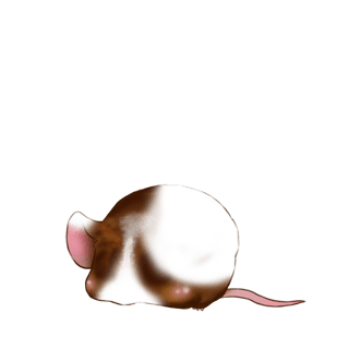 Adopta un Ratón Beige dorado