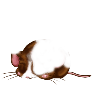 Adopta un Ratón Lentejuelas