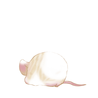 Adopta un Ratón Búho