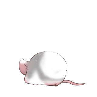 Adopta un Ratón Mandou