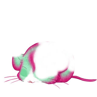 Adopta un Ratón Burbujas