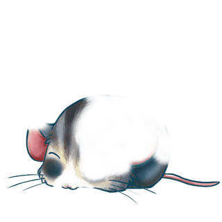 Adopta un Ratón Azul gris