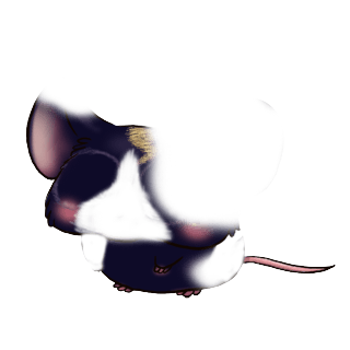 Adopta un Ratón Arco iris