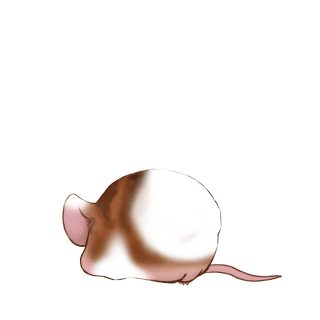 Adopta un Ratón Brillo dorado