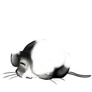 Adopta un Ratón En blanco y negro