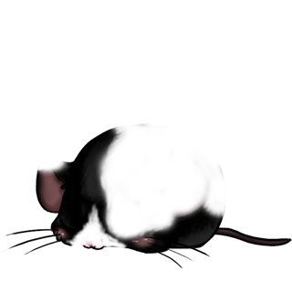 Adopta un Ratón En blanco y negro