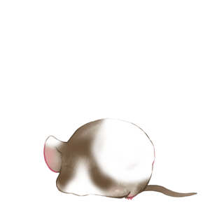 Adopta un Ratón Horror
