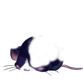 Adopta un Ratón Pistacho