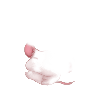 Adopta un Ratón Turrón