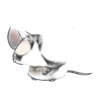 Adopta un Ratón Plata