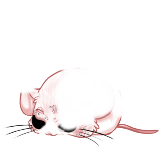 Adopta un Ratón Tinta